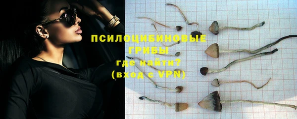 шишки Лихославль