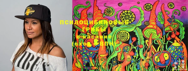 таблы Лабытнанги