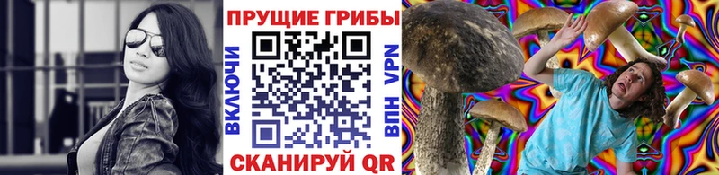 наркошоп  Сухиничи  Псилоцибиновые грибы ЛСД 